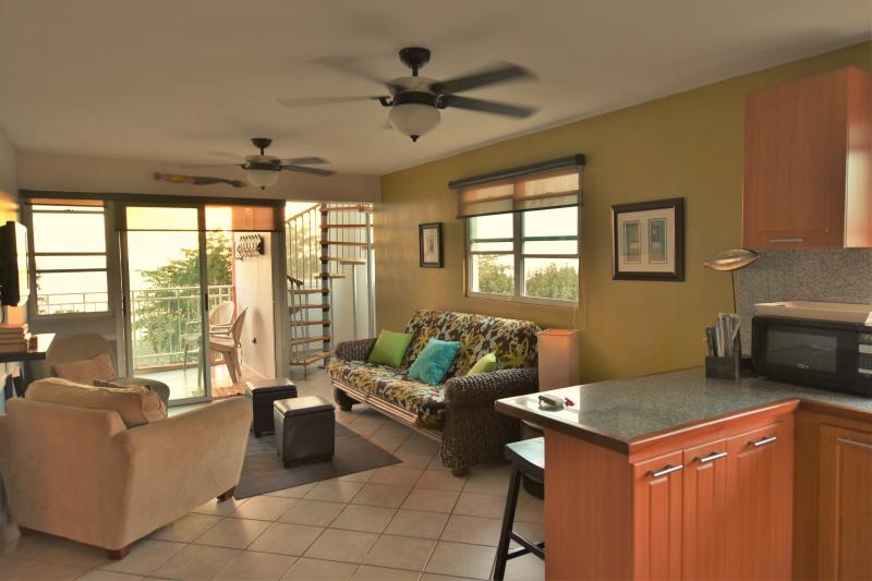 rincon hotels, guest house, villa, apartments, condos, puerto rico